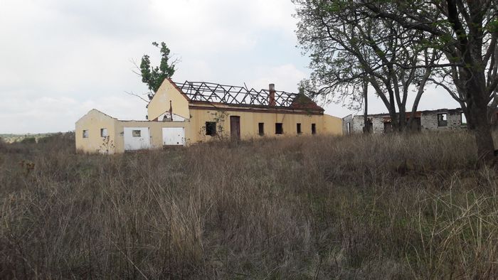 Newcastle Rural Farm For Sale: Grazing land, two dams, close to town.