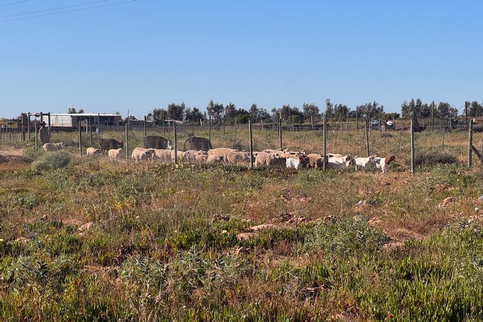 For Sale: Farm in Vredenburg Rural with 2-bedroom home, chicken coop, and 2.1 hectares.