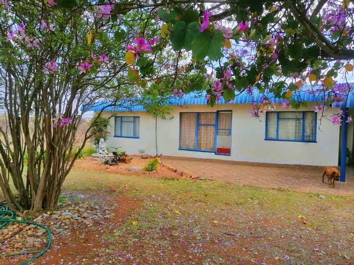 For Sale: Spacious Small Holding in Palmietfontein AH with multiple residences and 9.6 hectares.