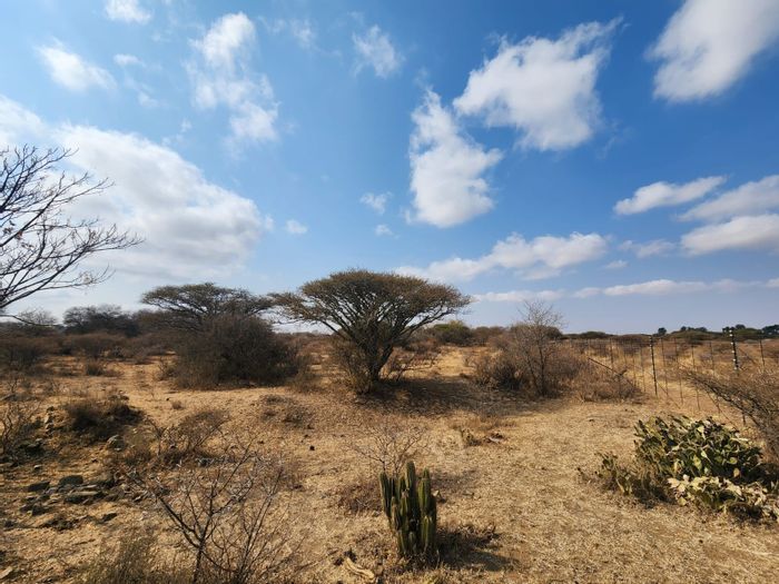 10-hectare Small Holding in Palm AH For Sale, fenced with utility customization options.