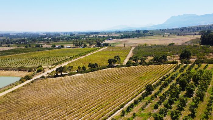 For Sale: 24-Hectare Farm in Paarl Rural with vineyards, orchards, and nature reserve access.
