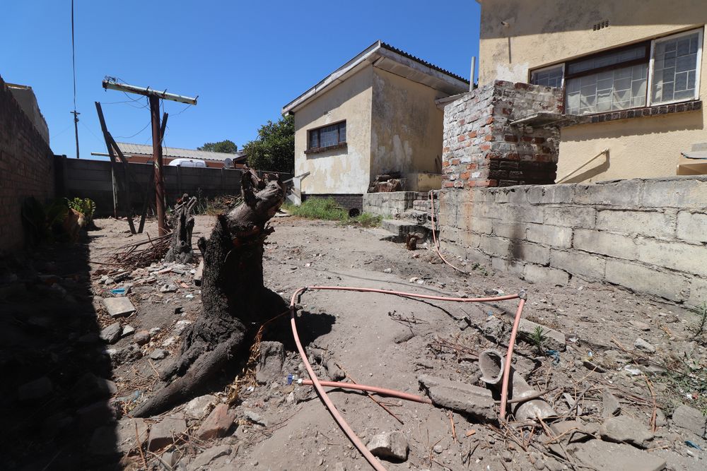 Another view of the backyard