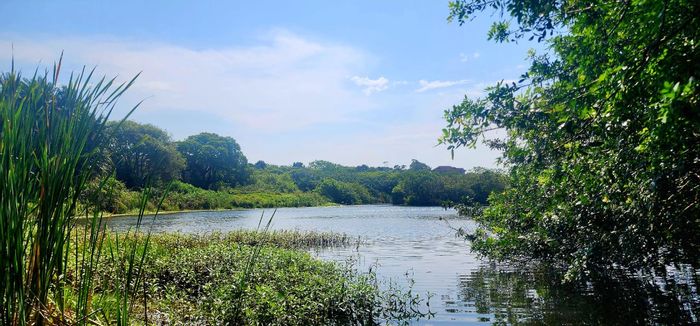 Catalina Bay Farm For Sale: 6.7ha land, bakery history, potential for diverse ventures.