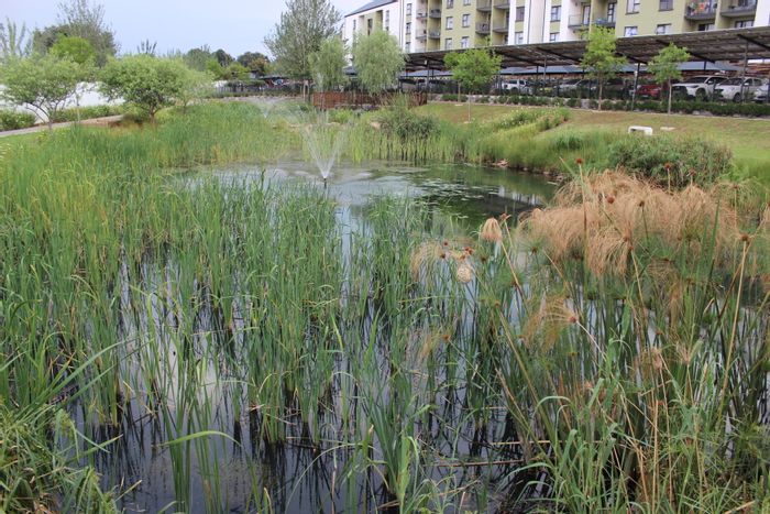 Witfield Apartment To Rent: 1-bedroom, pool, restaurant, security, near golf club.