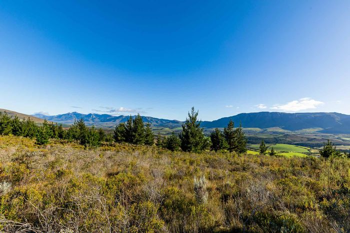 Heidelberg Rural: For Sale - 11 hectares, off-grid potential, scenic views, fresh water fountain.