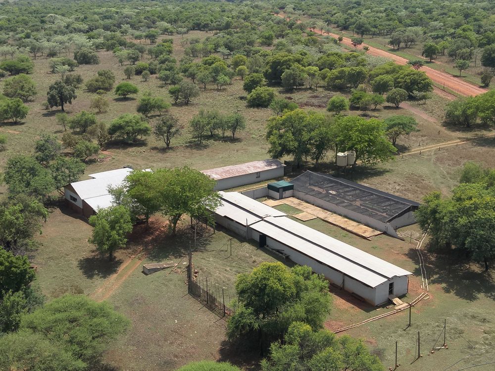 Pigsty and stoor room