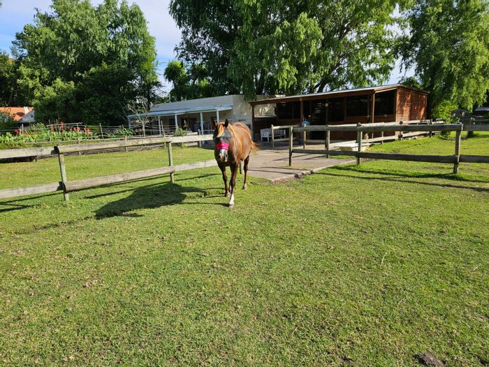 Equestrian property in Greyton for sale with stables, flat, and solar system.