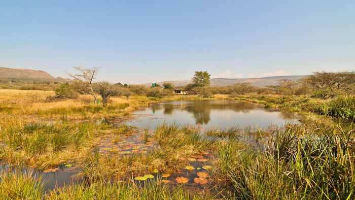 Albert Falls Small Holding For Sale: Off-grid home, solar power, game included.
