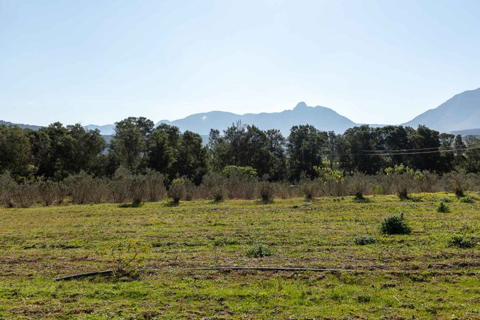 Riversdale Rural Farm For Sale: 6 hectares, house, shed, solar system, irrigation.