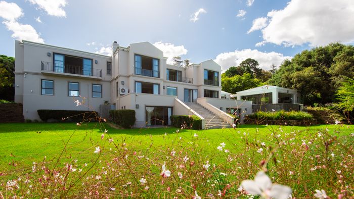 High Constantia House For Sale: 6 bedrooms, vineyard, pool, security, and guest cottage.