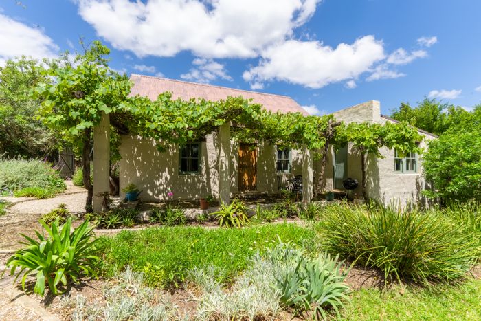 Historic Stanford Central house with income potential, gardens, and renovation plans for sale.