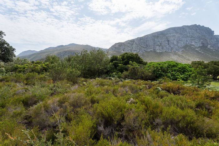 Vacant Land Residential For Sale in Bettys Bay Central, near beach and gardens.