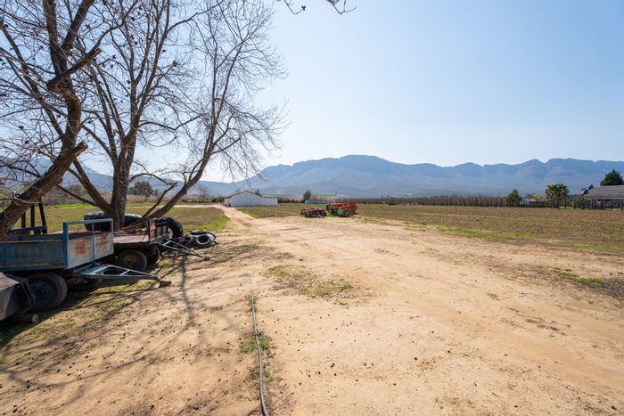 For Sale: 2.7ha Farm in Prince Alfred Hamlet with water rights and spacious homestead.