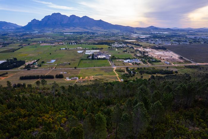 For Sale: Freedom Hill Vineyards, Paarl Central - Wine farm with tasting room, cottages, trademarks.