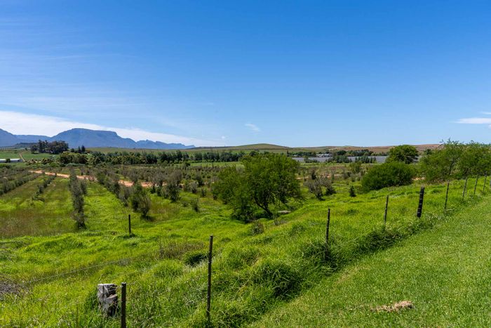 Exclusive vacant land for sale in Riversdale Rural with essential utilities and eco-friendly options.