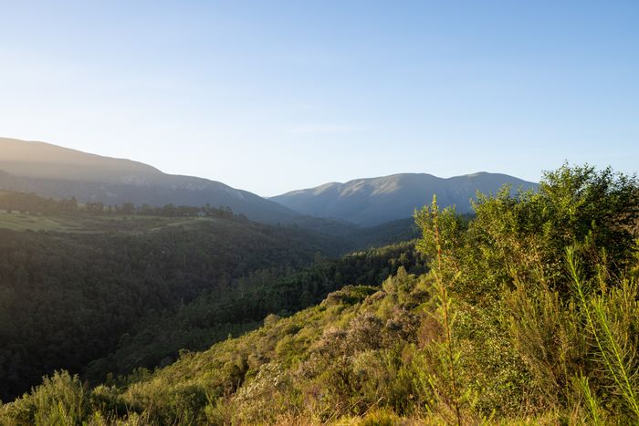 Vacant Land Residential For Sale in Hoekwil: Scenic views, river access, community living.