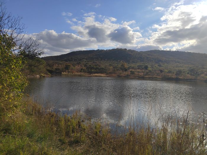 Farm for Sale in Letsitele: 85.6 Ha with dwellings, water sources, and grazing land.