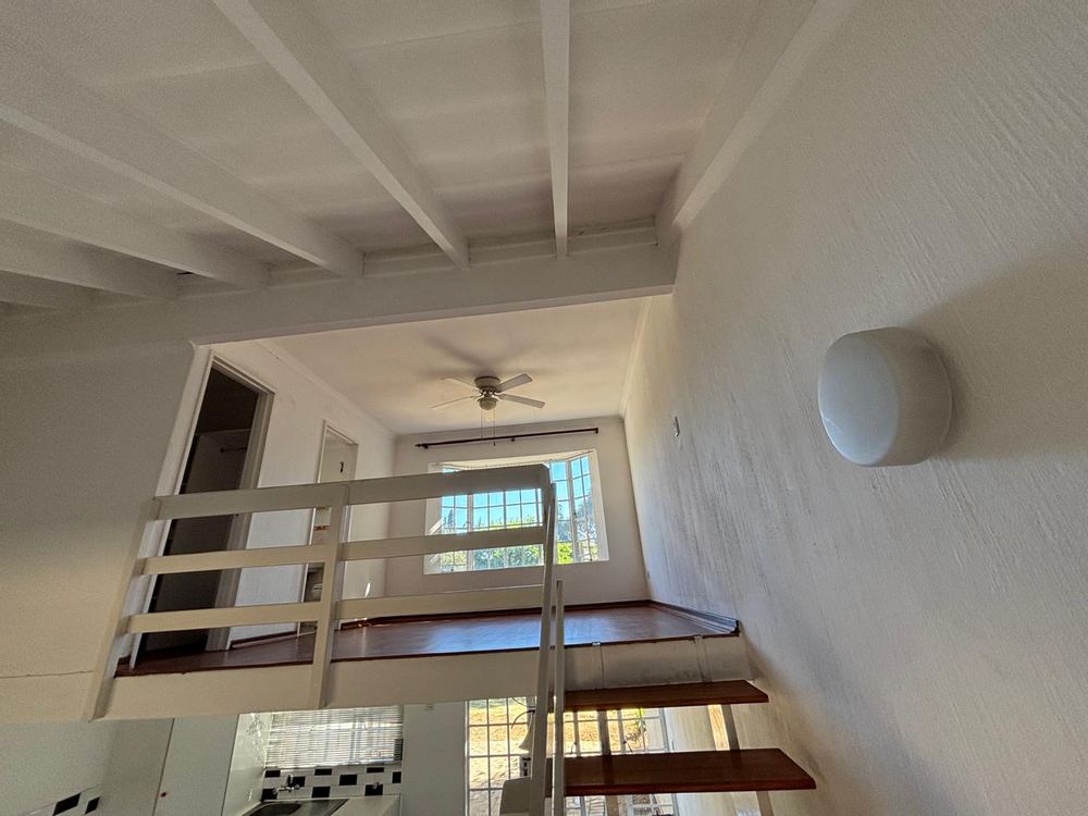 view from Downstairs