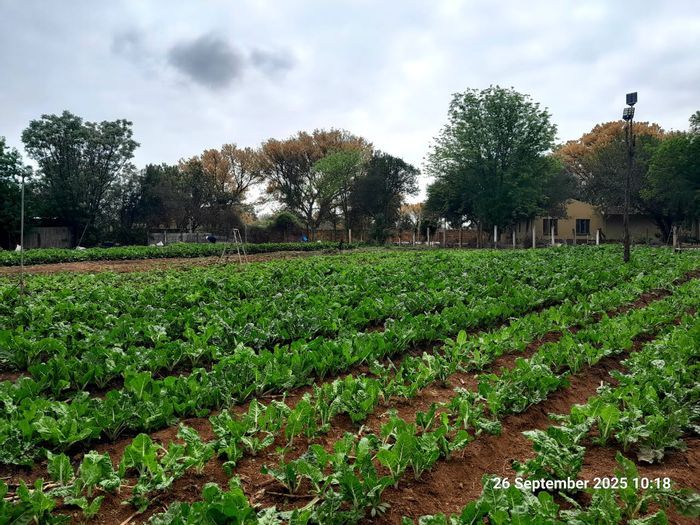 For Sale: Pretoria North Small Holding with multiple dwellings and full water rights.