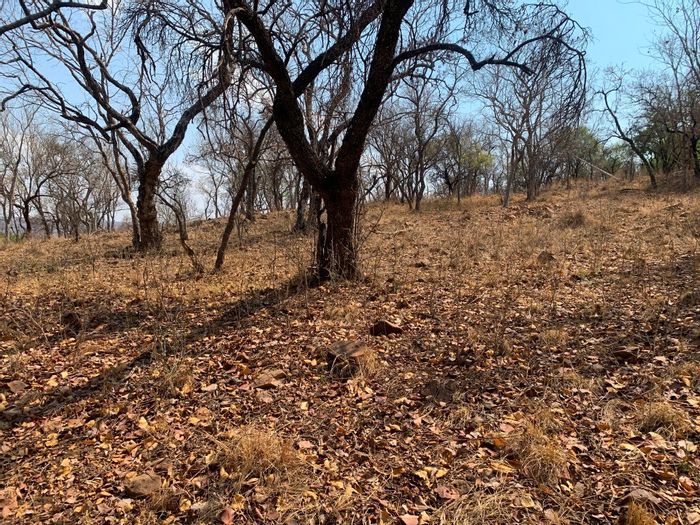 Vacant Land Residential for Sale in Kranspoort: 1333sqm with parkland views.