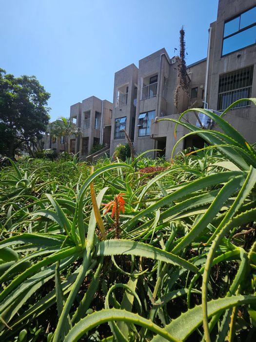 Tinley Manor Apartment To Rent: 4 bedrooms, private garden, sea views, pet-friendly.