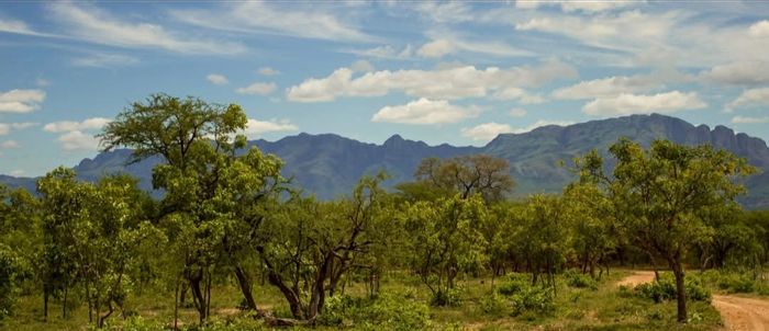 130Ha Farm for sale in Tzaneen Rural, ideal for crop cultivation with abundant water.