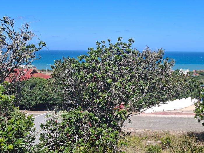 Vacant Land Residential in Tergniet For Sale: Sea views, 708 m², few Milkwood trees.