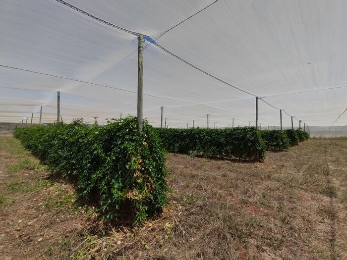 For Sale: 21.6ha farm in Tzaneen Rural with poultry, water sources, and storage.