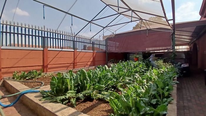 For Sale: House in Vanderbijlpark CE 2 with three flats, borehole, and garden.