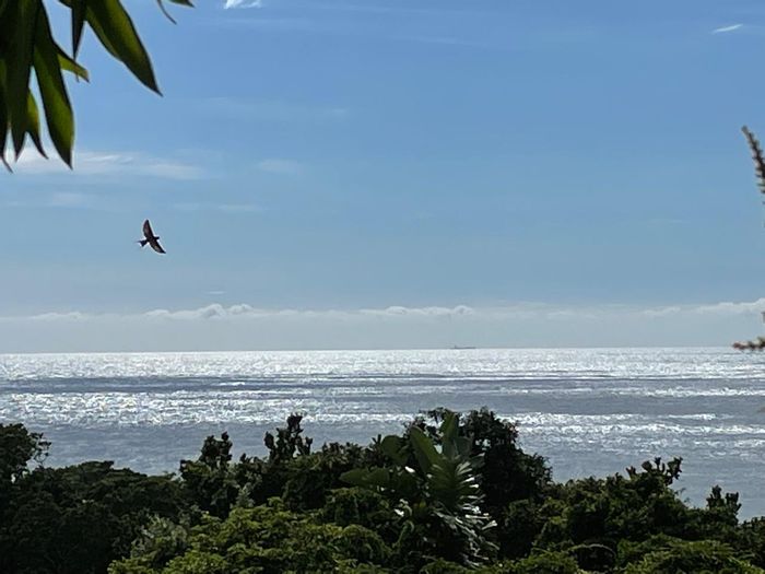 For Sale: Spacious Ballito Central house with granny flat, sea views, and ample parking.