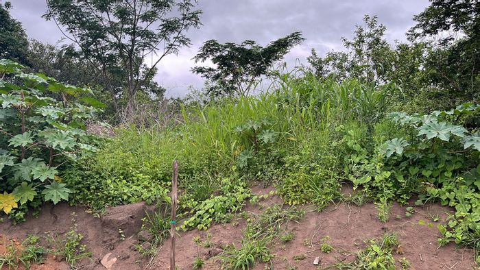 Vacant Land Residential in Ballito Central For Sale - Secure estate, amenities included.