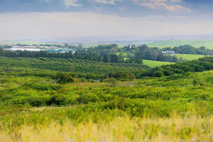 Lalela Estate For Sale: 614sqm vacant land near clubhouse, pools, and amenities.