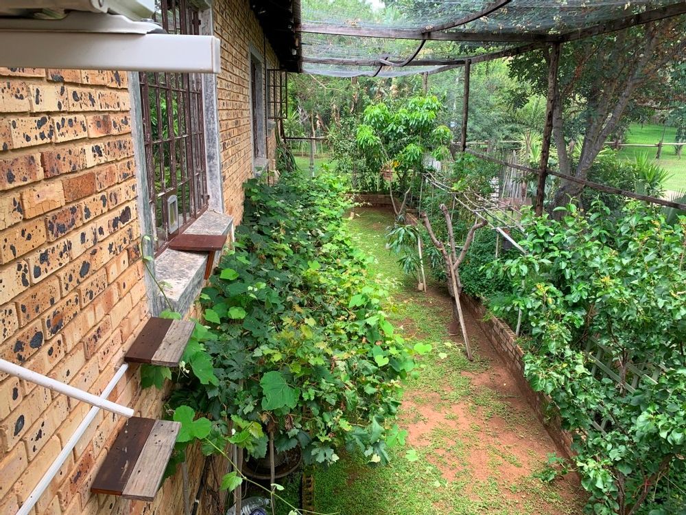 Enclosed Fruit and Veggie Garden