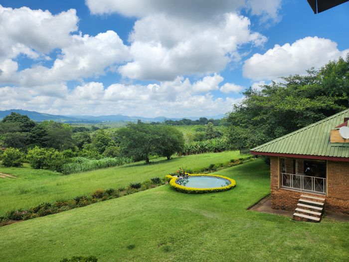 Tzaneen Rural Farm For Sale: 4-bed home, banana plantation, water rights, entertainment space.