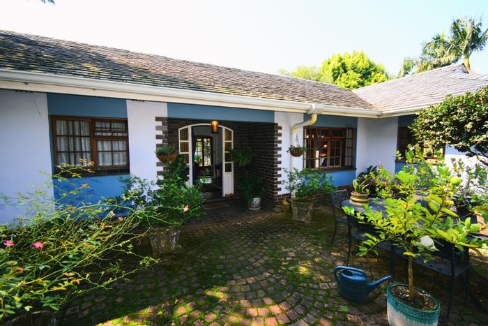 Montrose House For Sale: 8 bedrooms, B&B potential, pool, spacious garden.