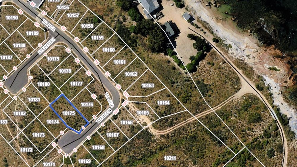 Third row from the sea