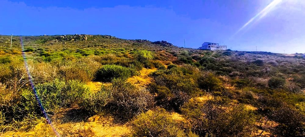 Surroundings from plot