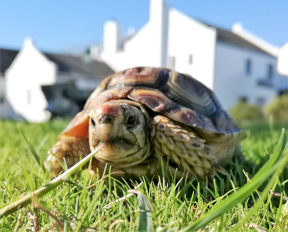 Taking it slow on the West Coast