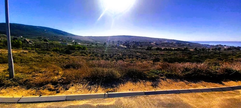 View to the front of the plot