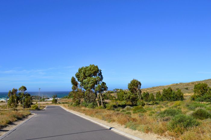 Vacant Land Residential For Sale in St Helena Views: Build your dream retreat today!