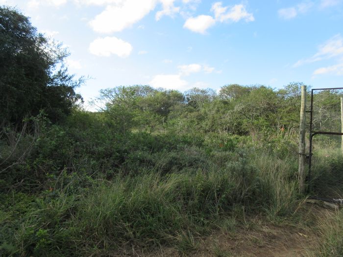 Vacant Land Residential For Sale in Bathurst Central, 1375 m² with natural bush.