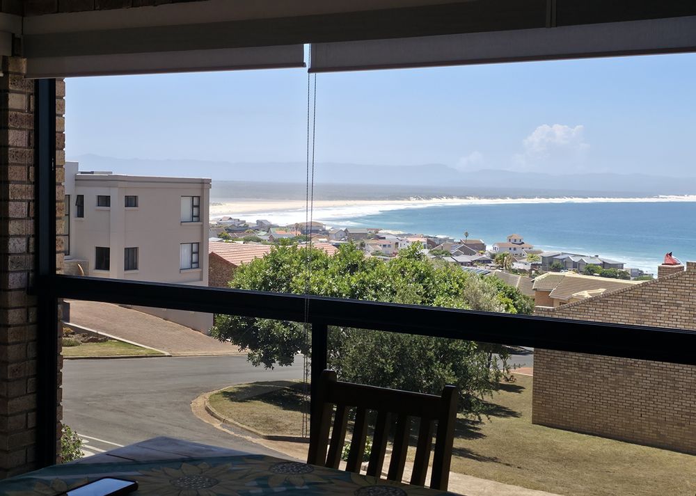 Braai Area & View