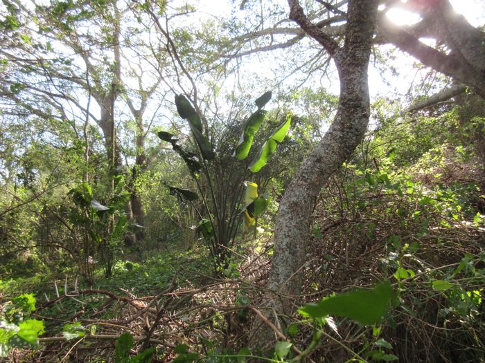 Vacant Land Residential For Sale in Bathurst Central, 1867 m², near amenities.