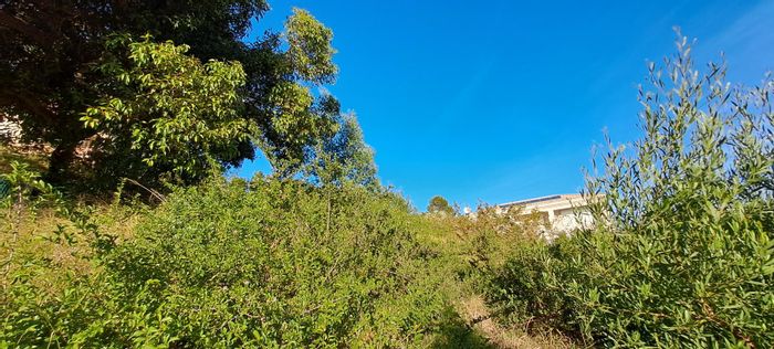 Upper Robberg Vacant Land Residential For Sale: Prime location near schools and beach.