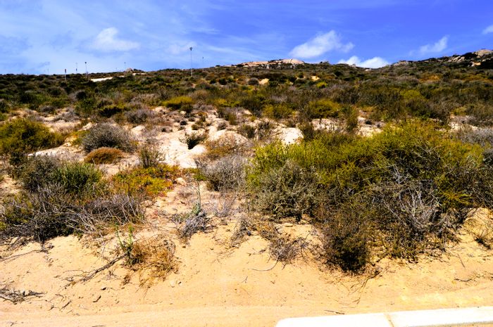 Vacant Land Residential For Sale in Steenbergs Cove, 312m² with nature access.