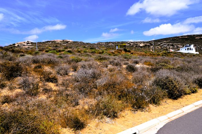 Vacant Land Residential For Sale in Steenbergs Cove, ideal for investment or retirement.