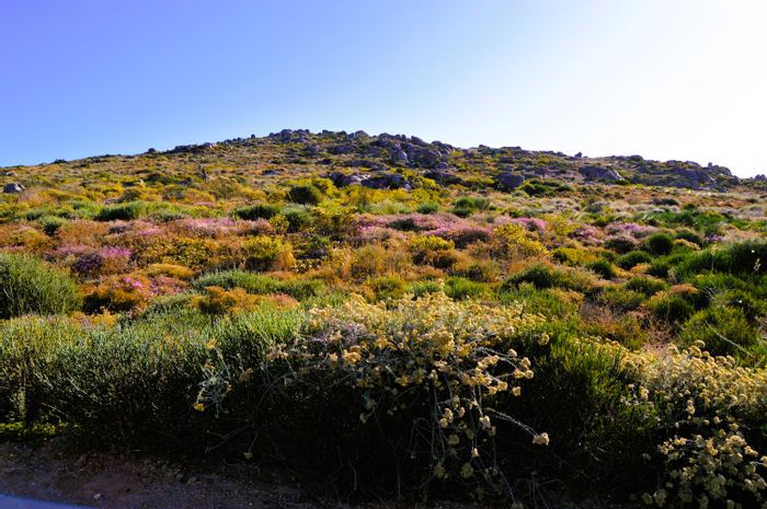 Vacant Land Residential in Steenbergs Cove For Sale, close to beaches and amenities.