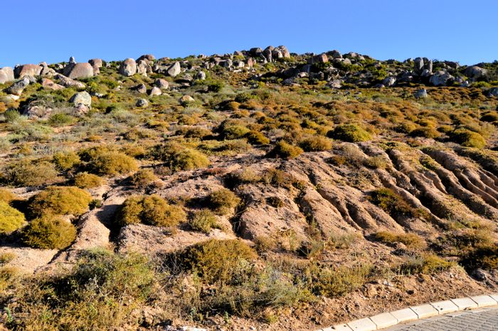 Vacant Land Residential in St Helena Views For Sale: Nature, wildlife, and coastal access.