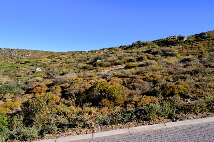 Vacant Land Residential in Steenbergs Cove For Sale: Nature, wildlife, and coastal access.