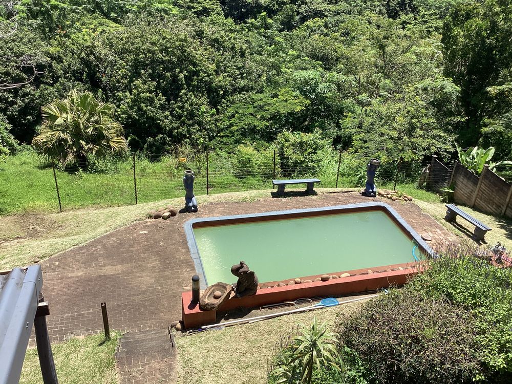 The electric fence at the back